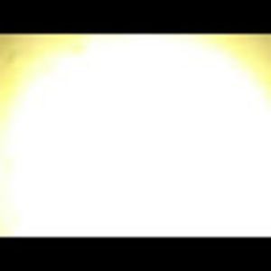 Meet your Posher, Max